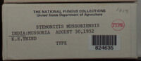 Image Associated With the Occurence